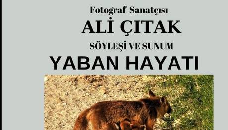 Yaban Hayatı Fotoğraf Sunumu ve Söyleşisi