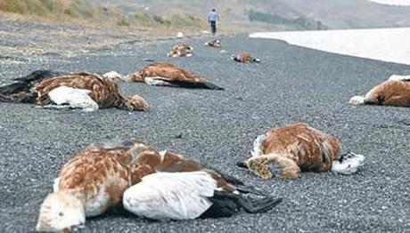 Örnek haber adı gelecek.