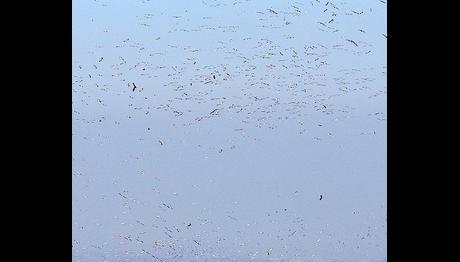 Örnek haber adı gelecek.