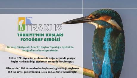 Ormanya Trakus Sergisi