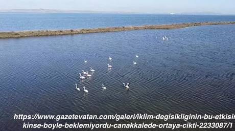 İklim Değişikliğinin Bu Etkisini Kimse Böyle Beklemiyordu