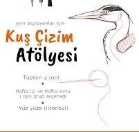 Kuş Çizim Atölyesi