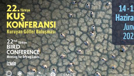 22. Türkiye Kuş Konferansı: Kuruyan Göller ve Tatlı Su Ekosistemleri Temasıyla 14-15 Haziran 2025te İzmirde.