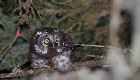 Örnek haber adı gelecek.