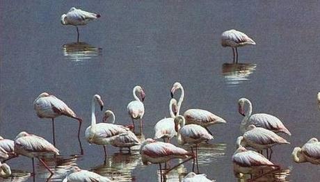 Örnek haber adı gelecek.