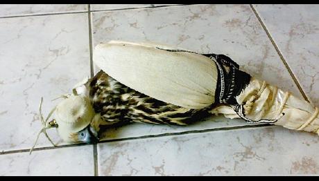 Örnek haber adı gelecek.