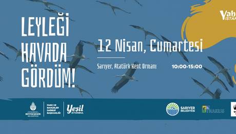 Leyleği Havada Gördüm