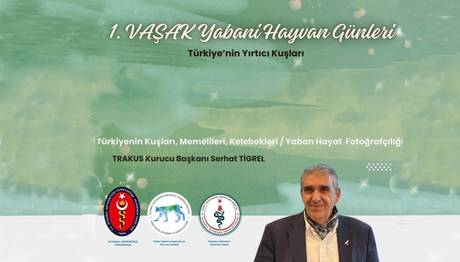 Türkiyenin Yırtıcı Kuşları