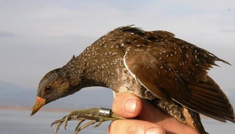 Örnek haber adı gelecek.