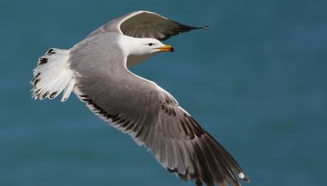 Örnek haber adı gelecek.