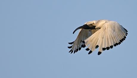Örnek haber adı gelecek.