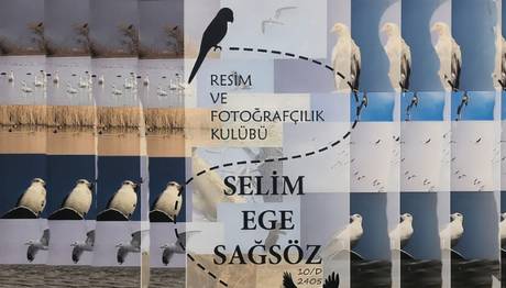 Selim Ege Sergisi