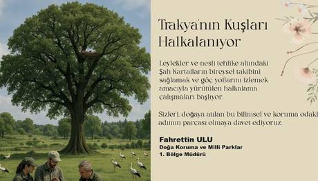 Trakya'nın Kuşları Halkalanıyor