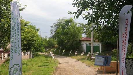 Leylek ve Şah Kartalların Halkalanması 