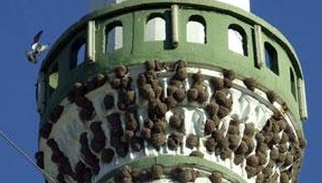 Örnek haber adı gelecek.