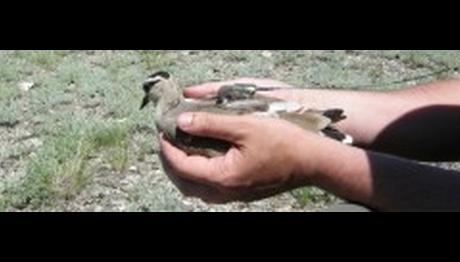 Örnek haber adı gelecek.