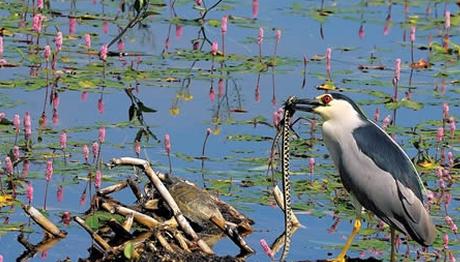 Örnek haber adı gelecek.