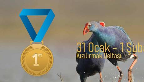 Dünya Sulak Alan Günü Fotoğraf Yarışması
