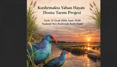 DAVET