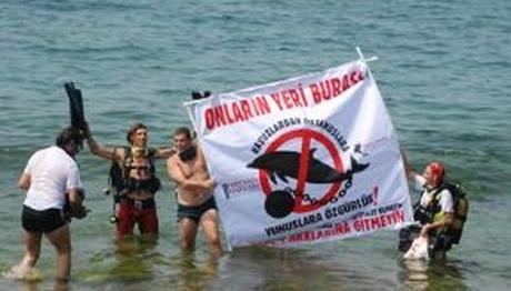 Yunuslar Artık Özgür...