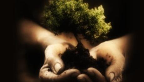 Atıklar Ormana Dönüşüyor...