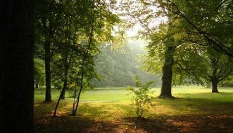 Örnek haber adı gelecek.