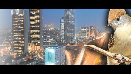 Örnek haber adı gelecek.