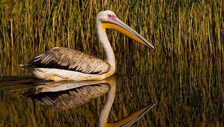 Örnek haber adı gelecek.