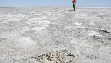 Örnek haber adı gelecek.