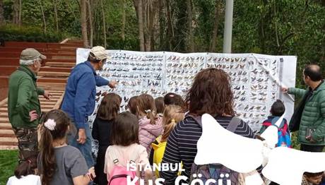 haber ve yayınlar