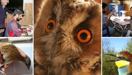 Aras Kuş Araştırma ve Eğitim Merkezi