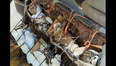 Örnek haber adı gelecek.