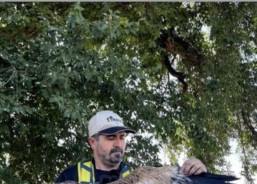 haber ve yayınlar