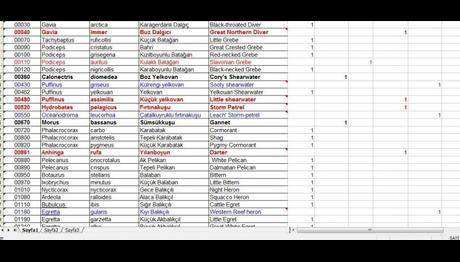 Örnek haber adı gelecek.