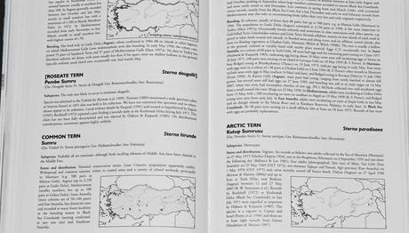 Örnek haber adı gelecek.