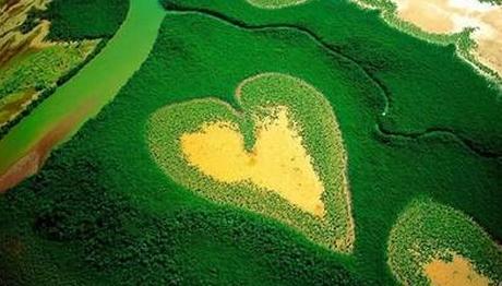 Türkiye'nin canı...