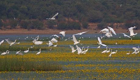 ENEZ'DE İPTAL DAVASI!