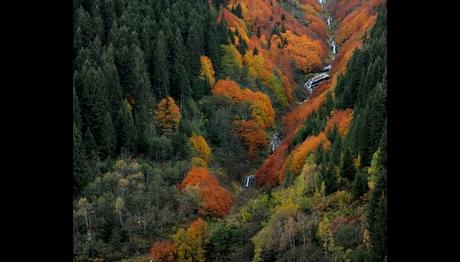 İkizdere Vadisi Doğal SİT alanı ilan edildi!