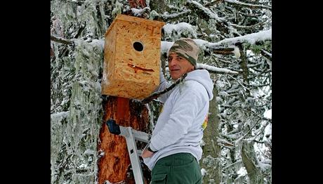 10 BİN PEŞİN, YUVA KUTUSU SENİN!