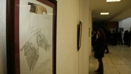 Isparta'da Kızıl Akbabalar yalnız değil.