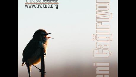 Örnek haber adı gelecek.