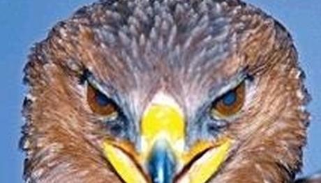 Örnek haber adı gelecek.