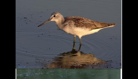 Örnek haber adı gelecek.