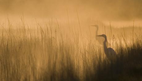 Örnek haber adı gelecek.