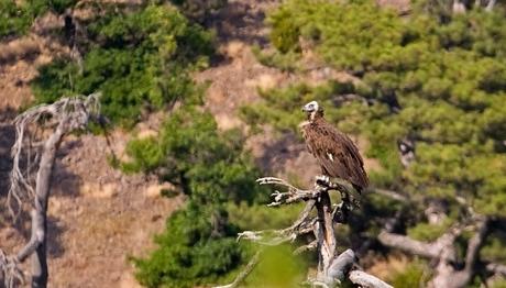 Örnek haber adı gelecek.