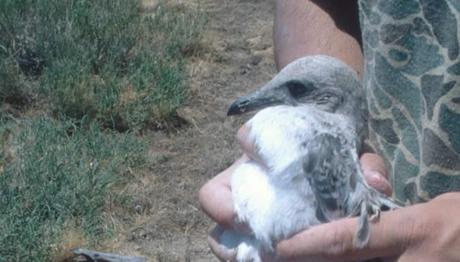 Örnek haber adı gelecek.