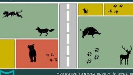 Örnek haber adı gelecek.