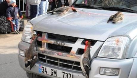 Örnek haber adı gelecek.