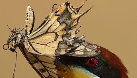 Örnek haber adı gelecek.