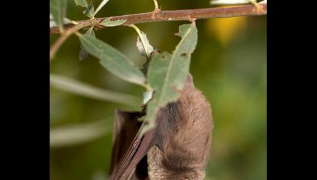 Örnek haber adı gelecek.